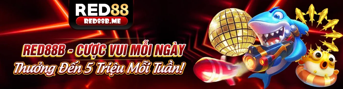 Hoàn trả casino K9CC app